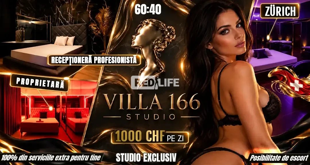 Villa 166: Mediu de lucru