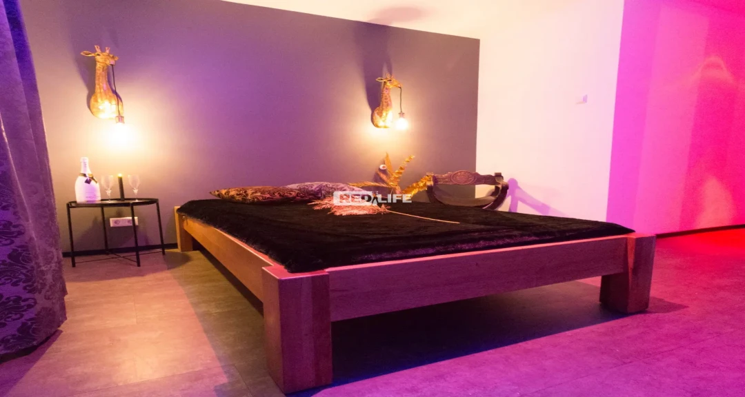 Alquiler diario fijo: 120 EUR/día,