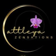Cattleya Zensations